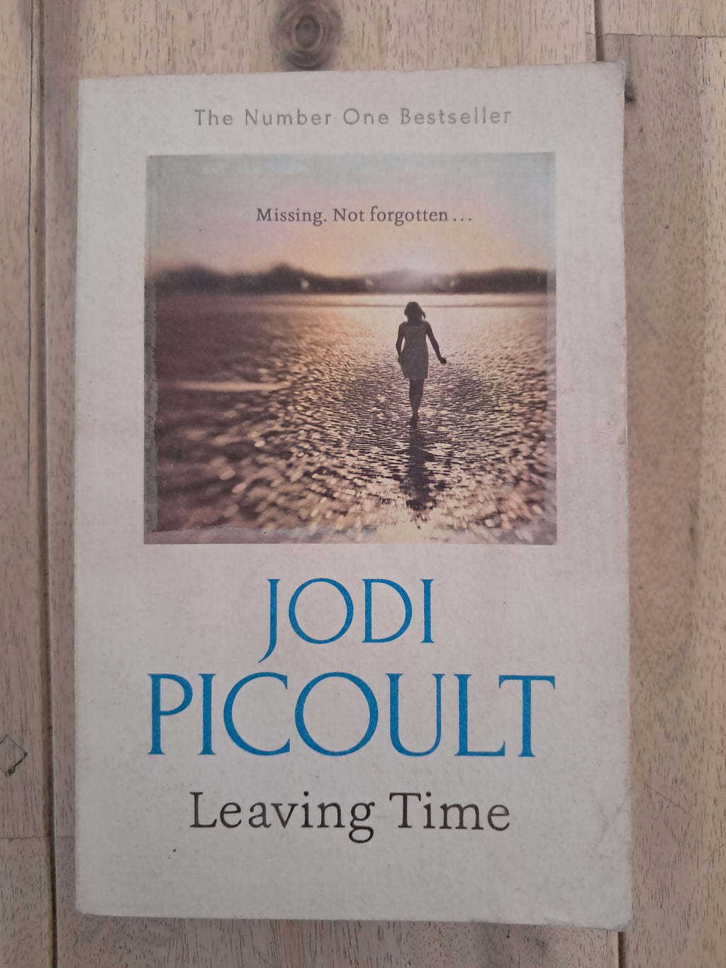 Leaving Time – Jodi Picoult