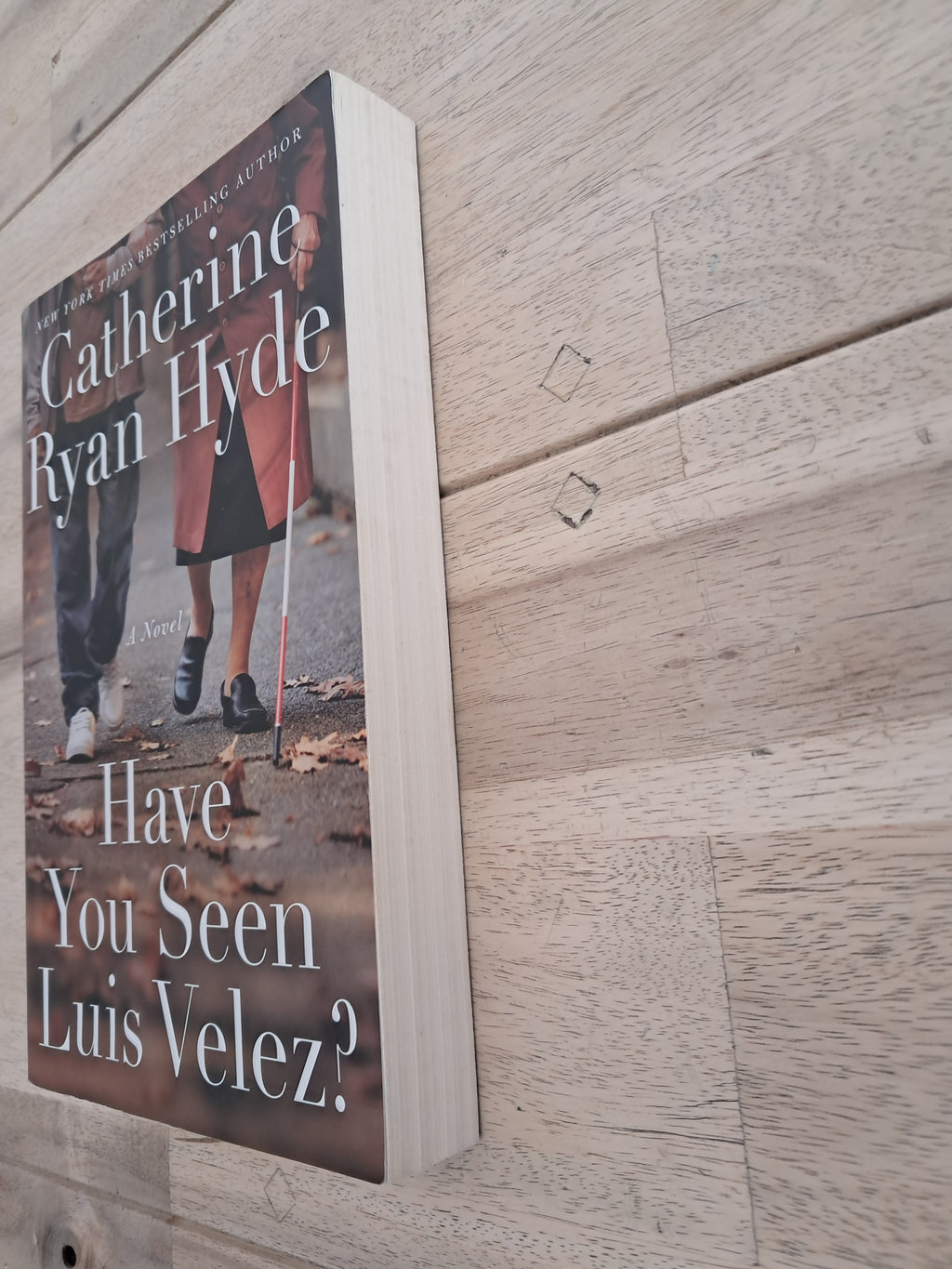 Have You Seen Luis Velez? – Catherine Ryan Hyde