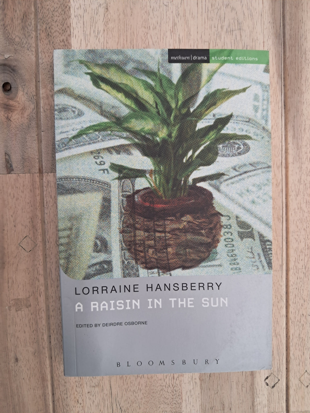 A Raisin in the Sun – Lorraine Hansberry