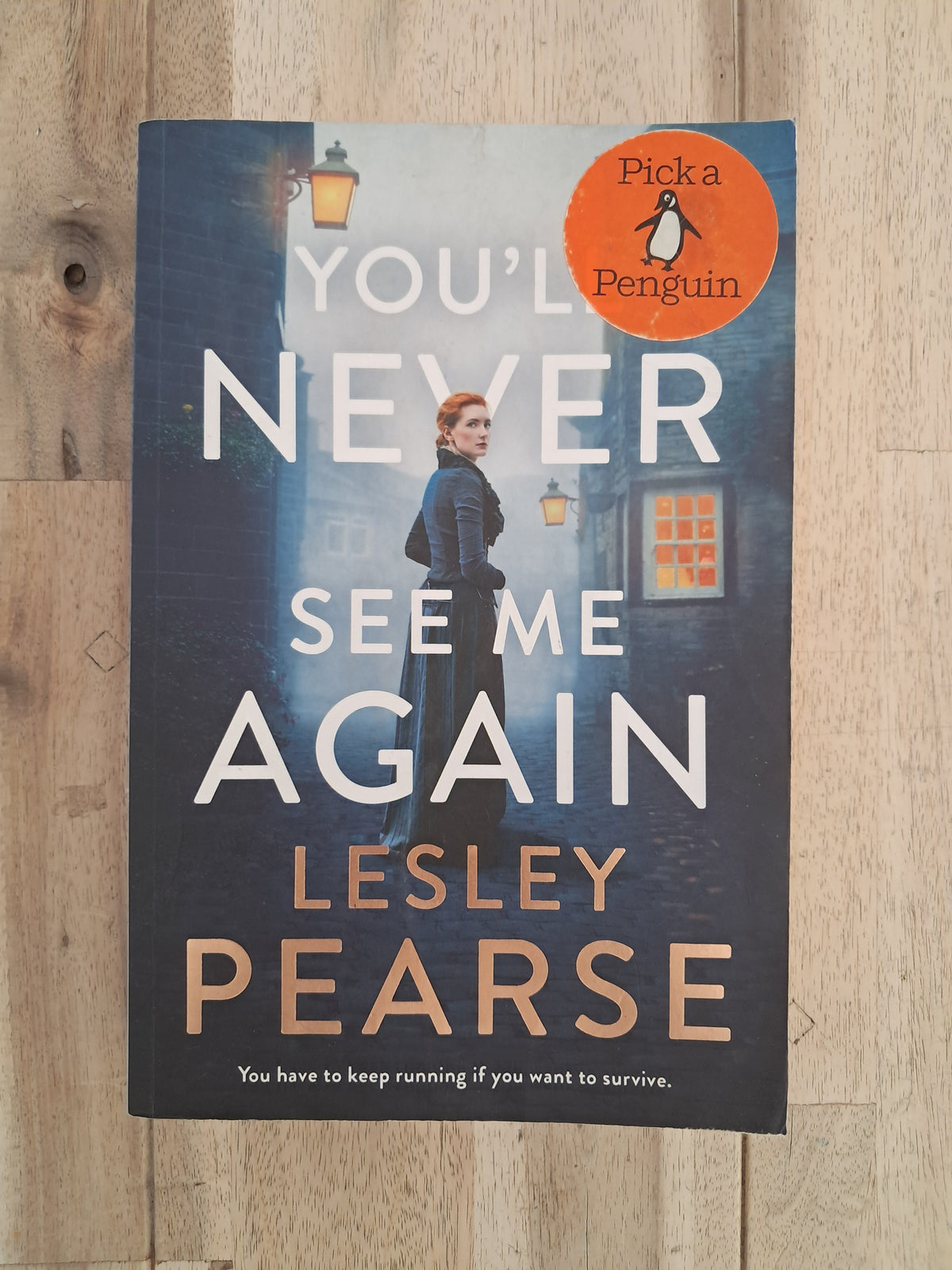 You’ll Never See Me Again – Lesley Pearse