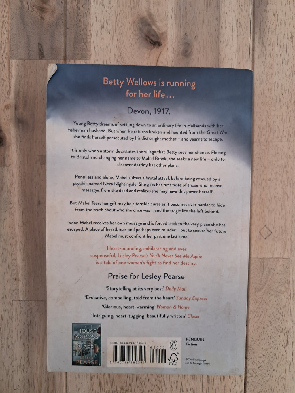 You’ll Never See Me Again – Lesley Pearse