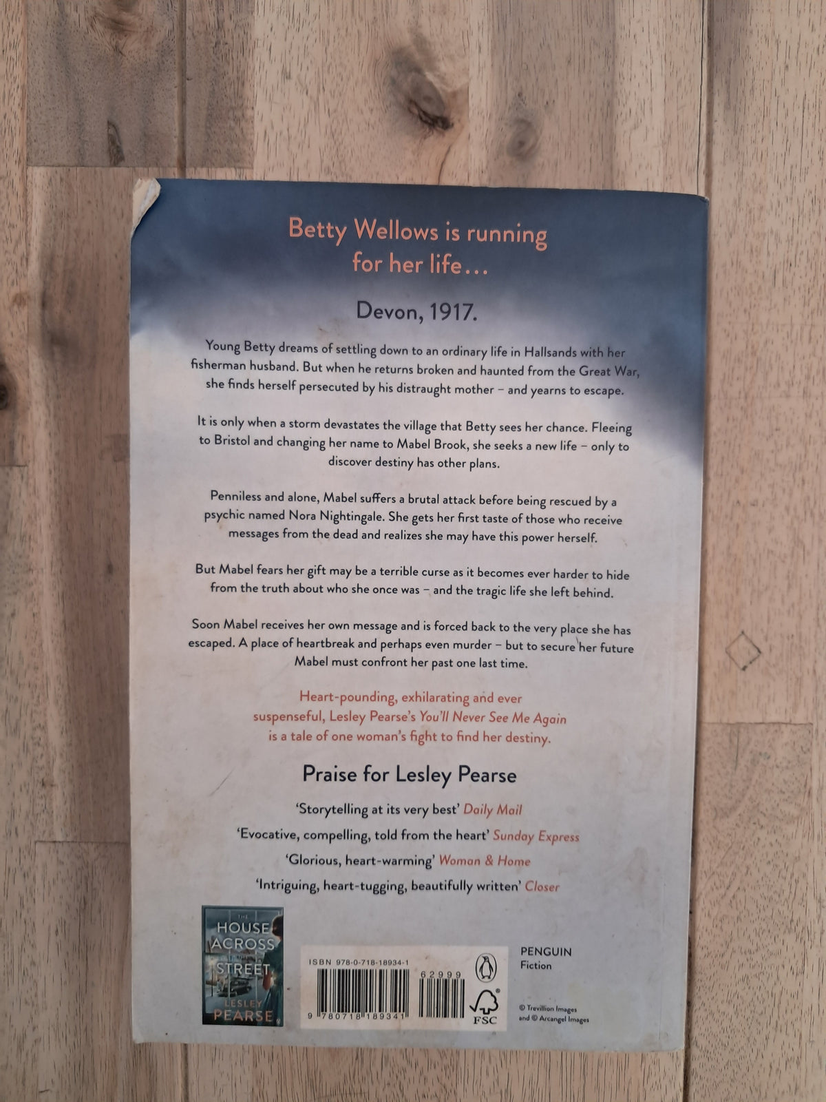 You’ll Never See Me Again – Lesley Pearse