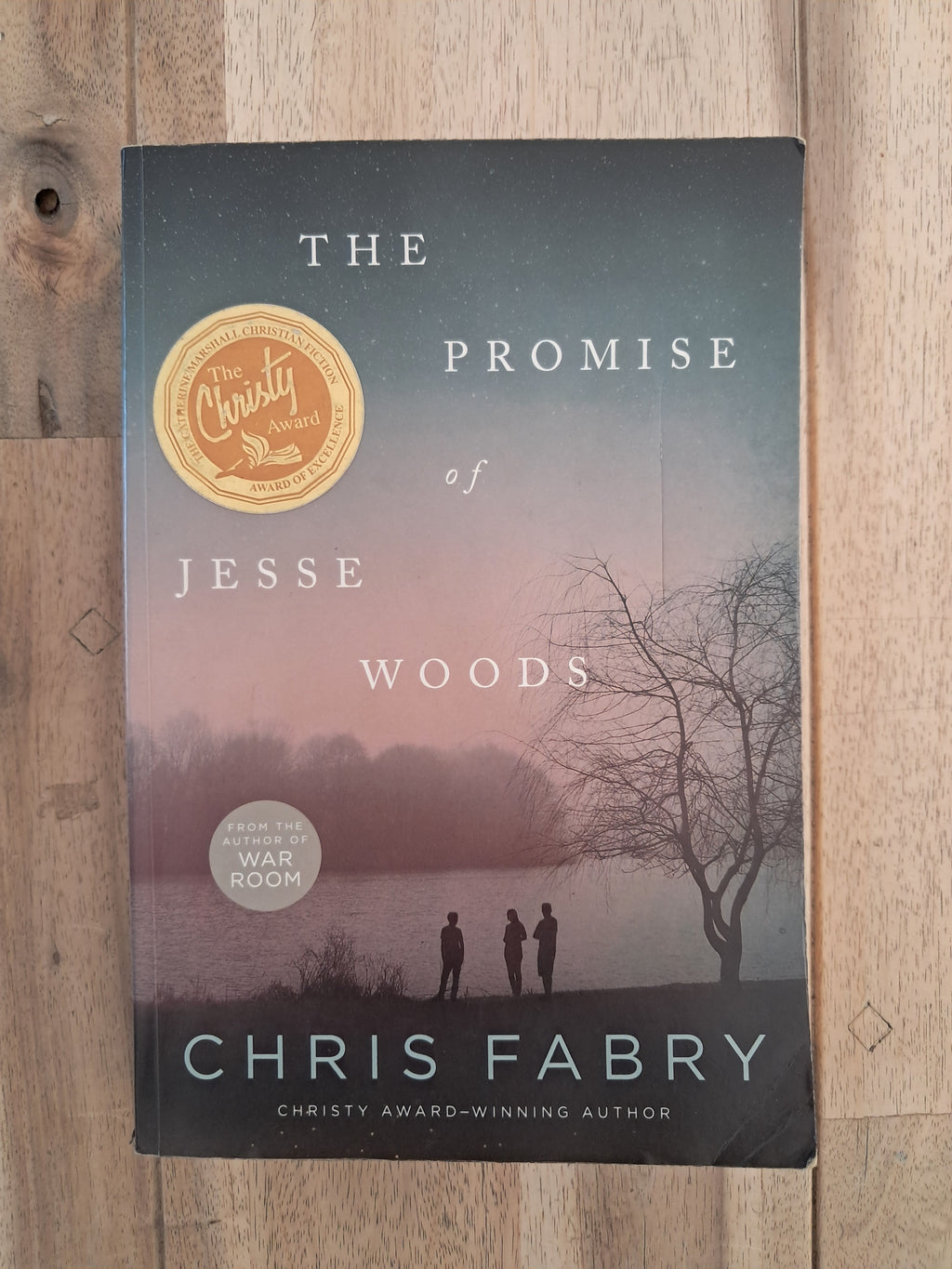 The Promise of Jesse Woods – Chris Fabry