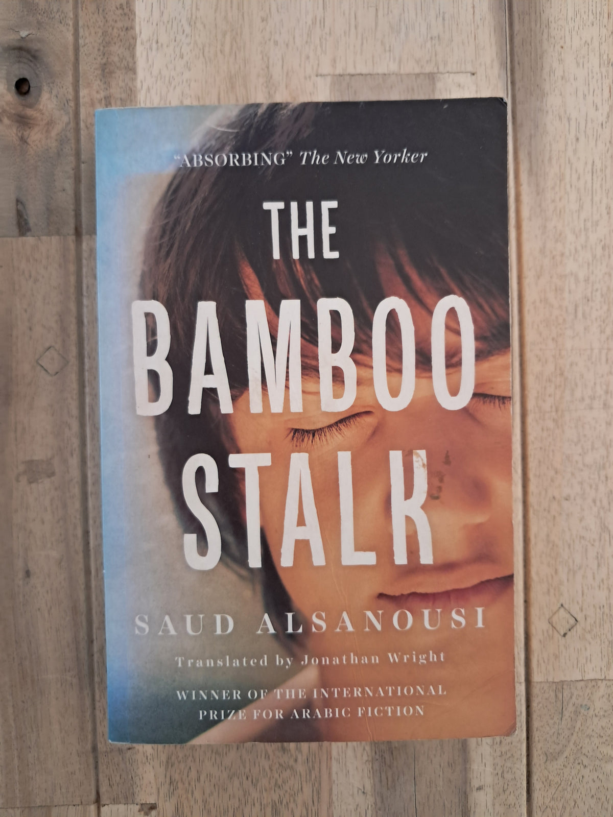 The Bamboo Stalk – Saud Alsanousi