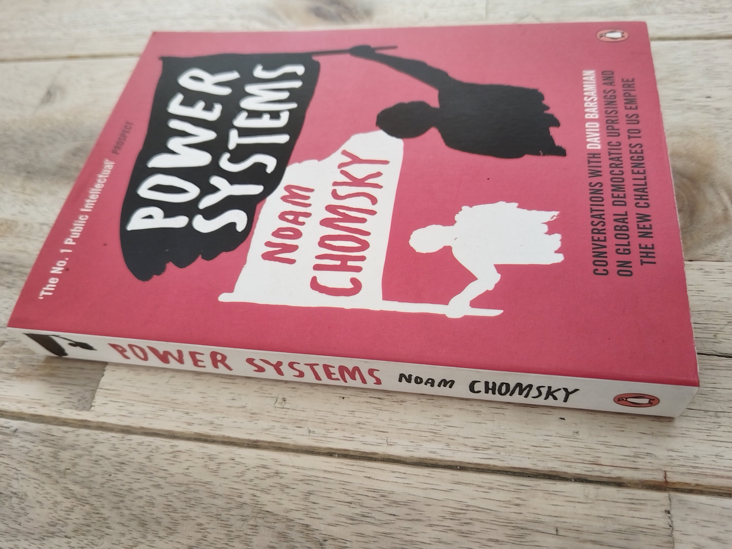 Power Systems Noam Chomsky