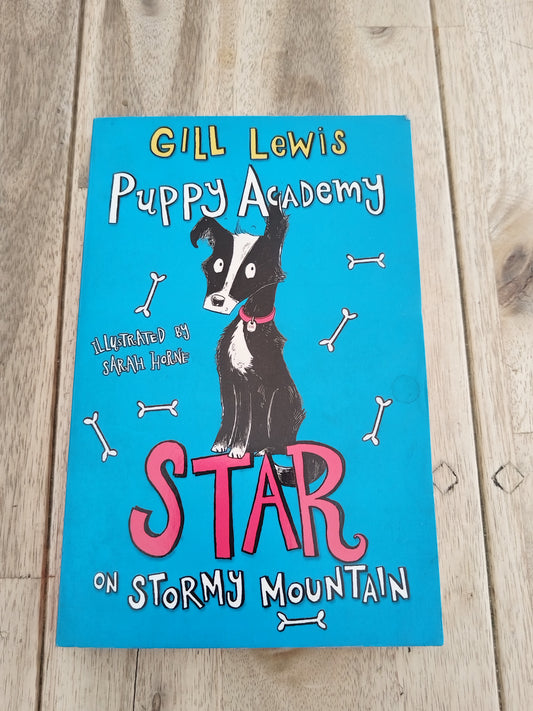 Puppy Academy Star on Stormy Island