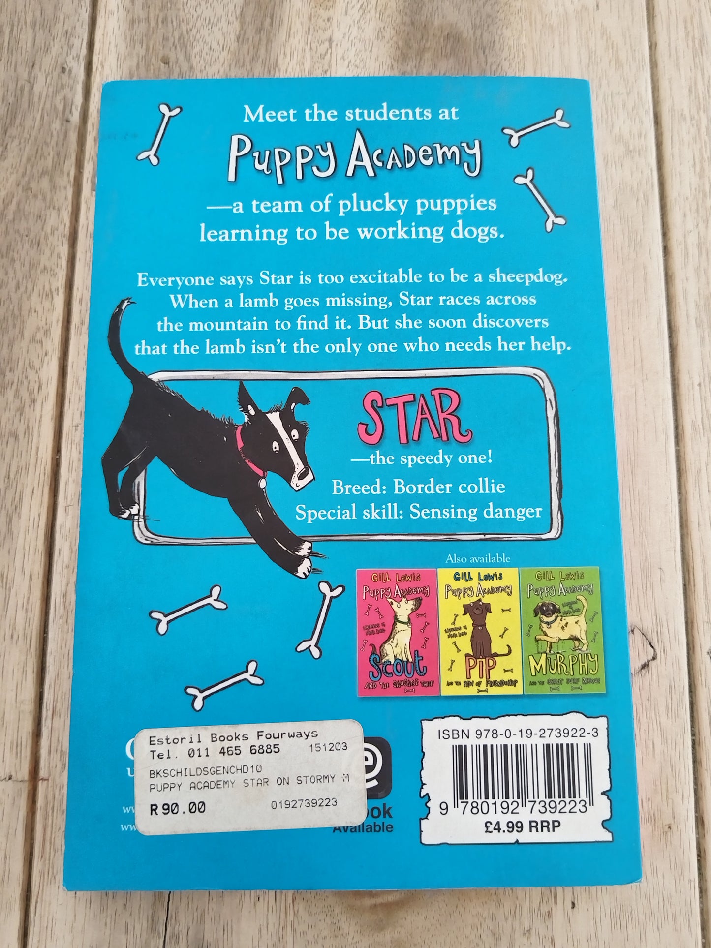 Puppy Academy Star on Stormy Island