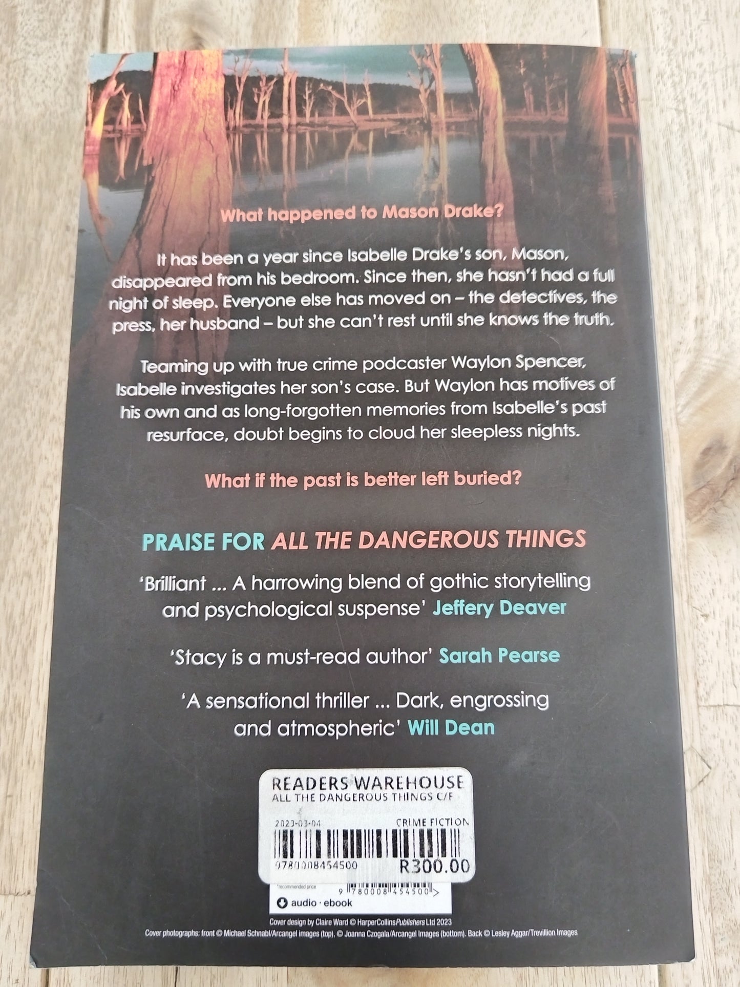 All The Dangerous Things Stacy Willingham