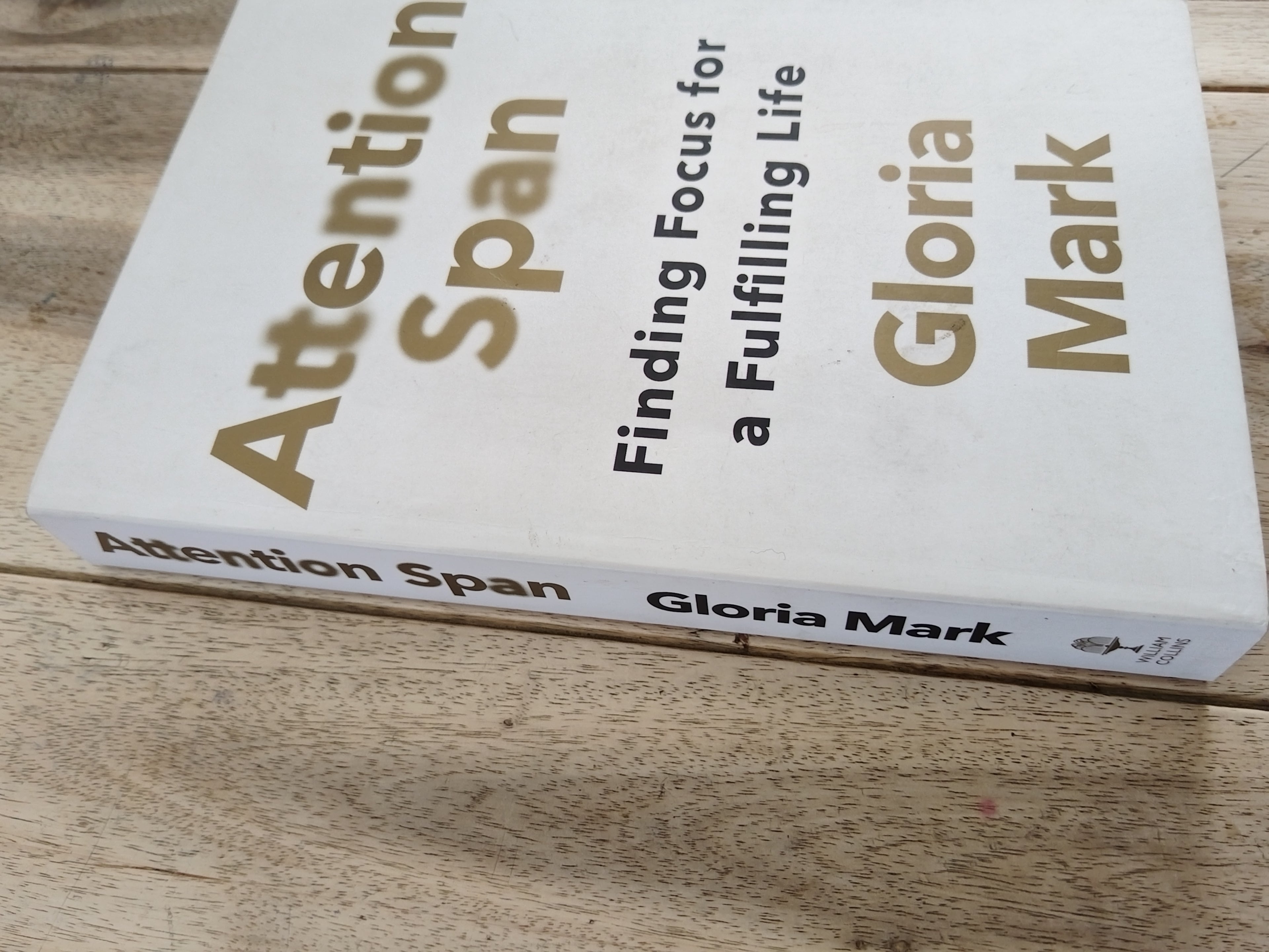 Attention Span Gloria Mark