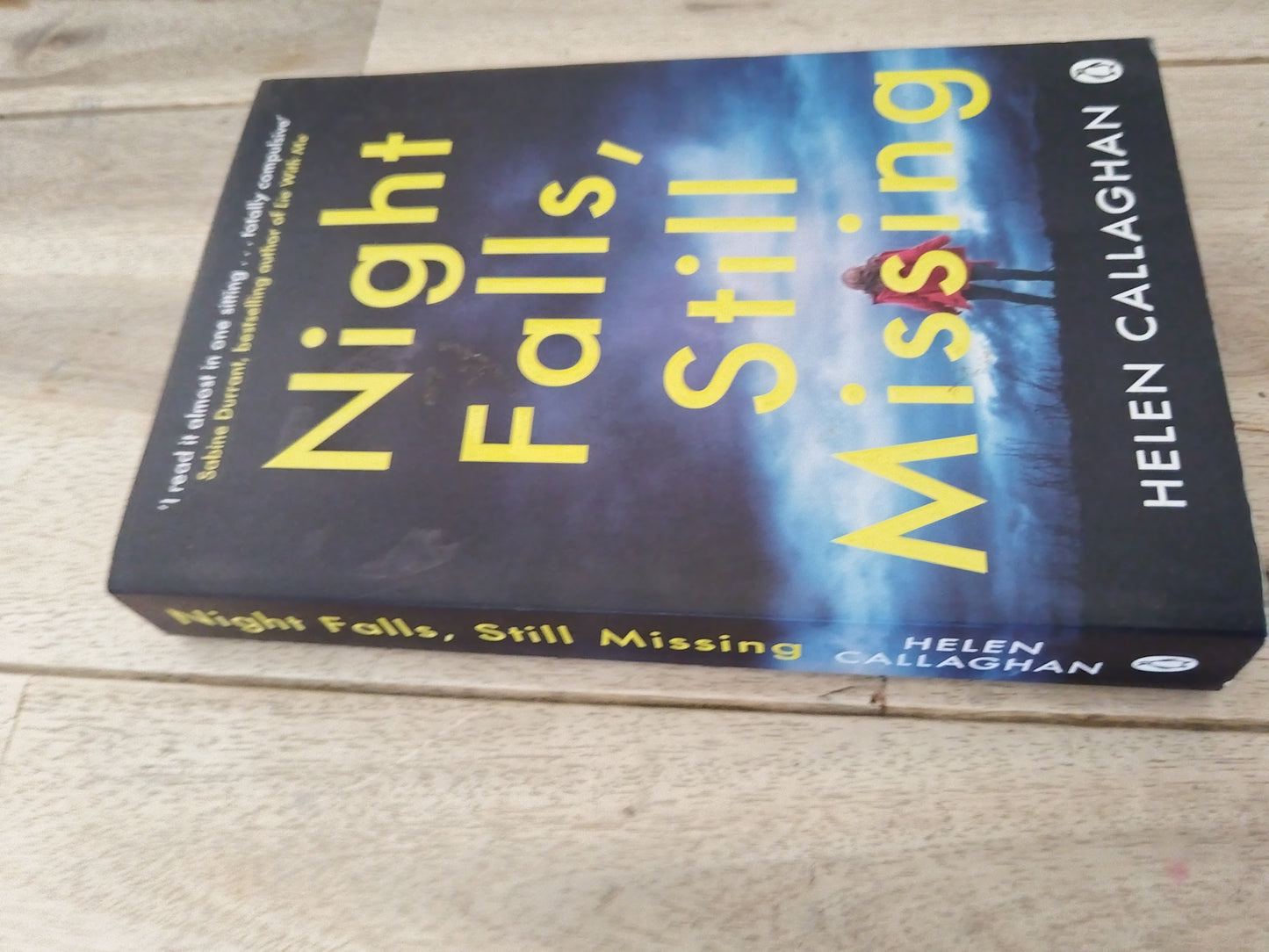Night falls, Still Missing Helen Callaghan