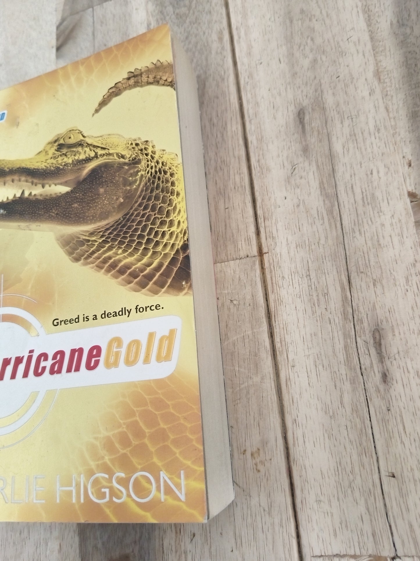 Hurricane Gold Young Bond