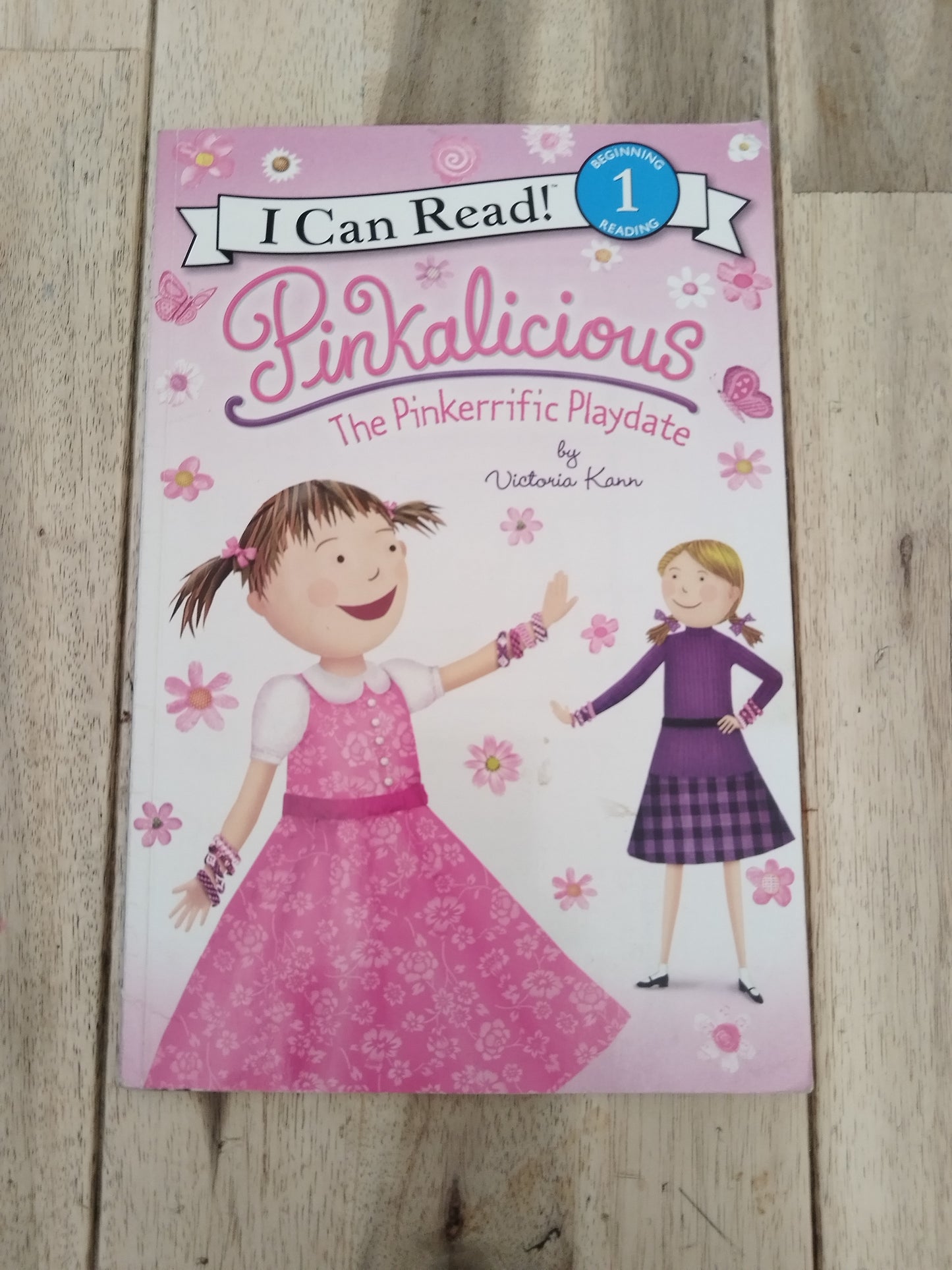 Pinkalicious The Pinkerrific Playdate