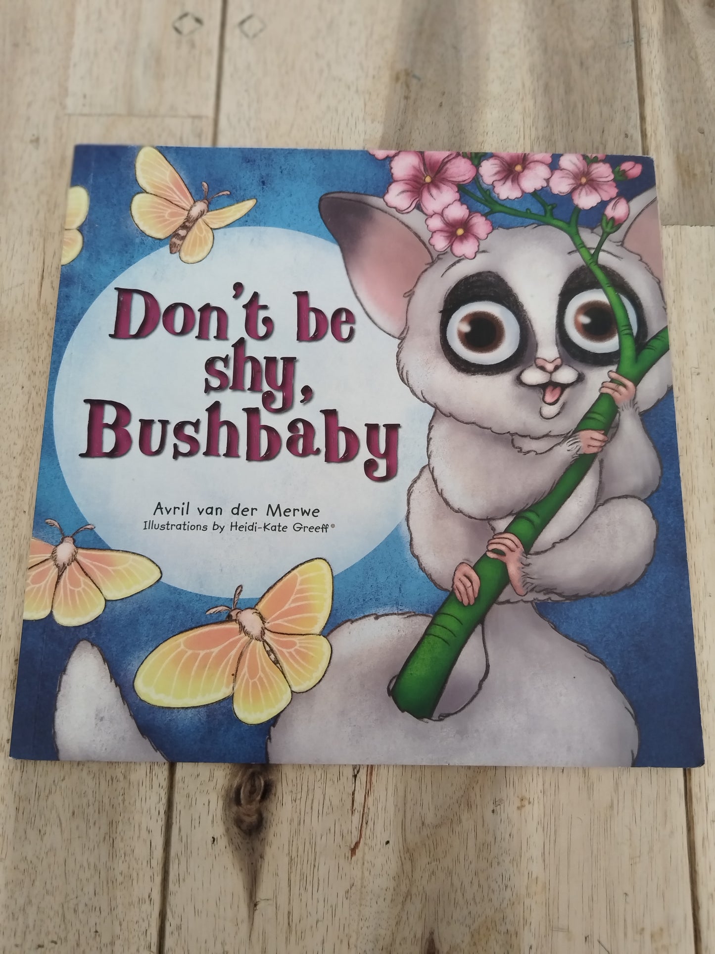 Dont Be Shy Bushbaby