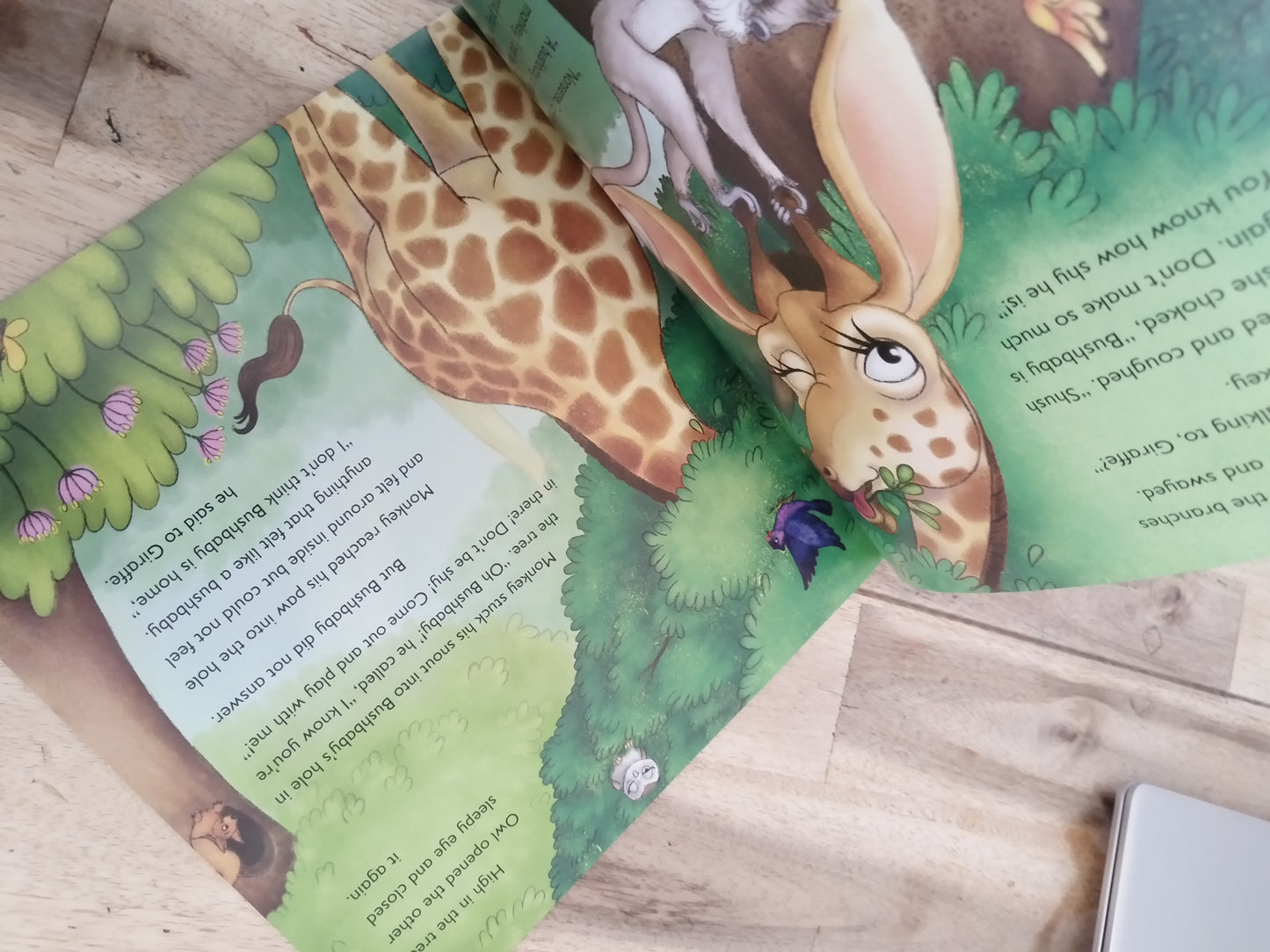 Dont Be Shy Bushbaby