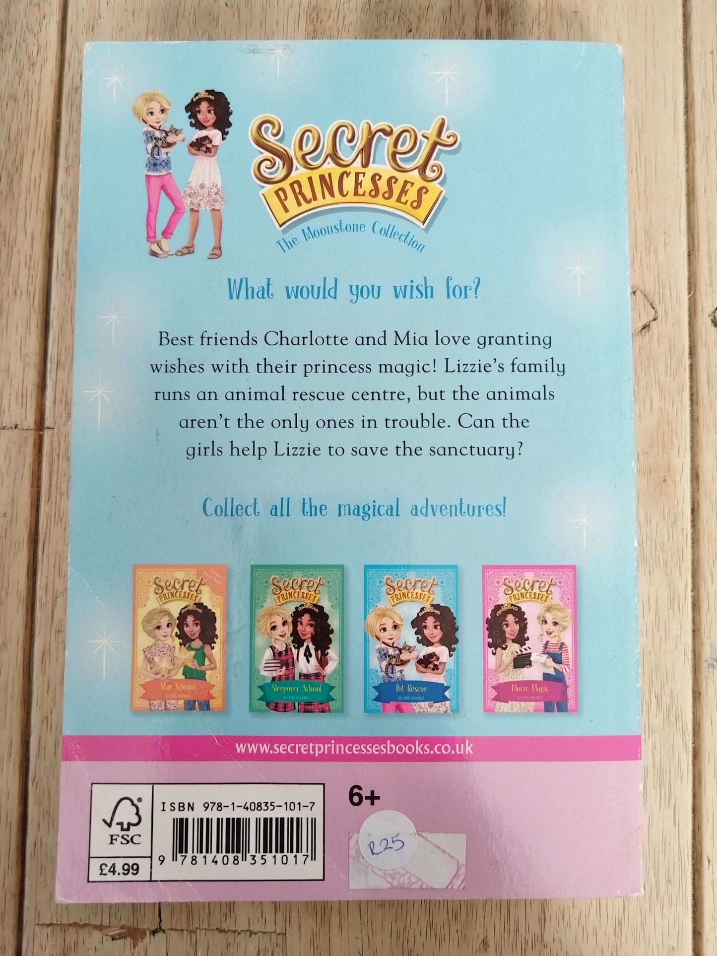 Secret Princesses Pet Rescue