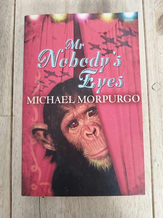 Mr Nobody's Eyes Michael Morpurgo