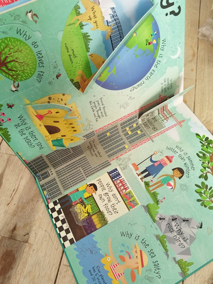Usborne Lift The Flap Questions And Answers About The Word