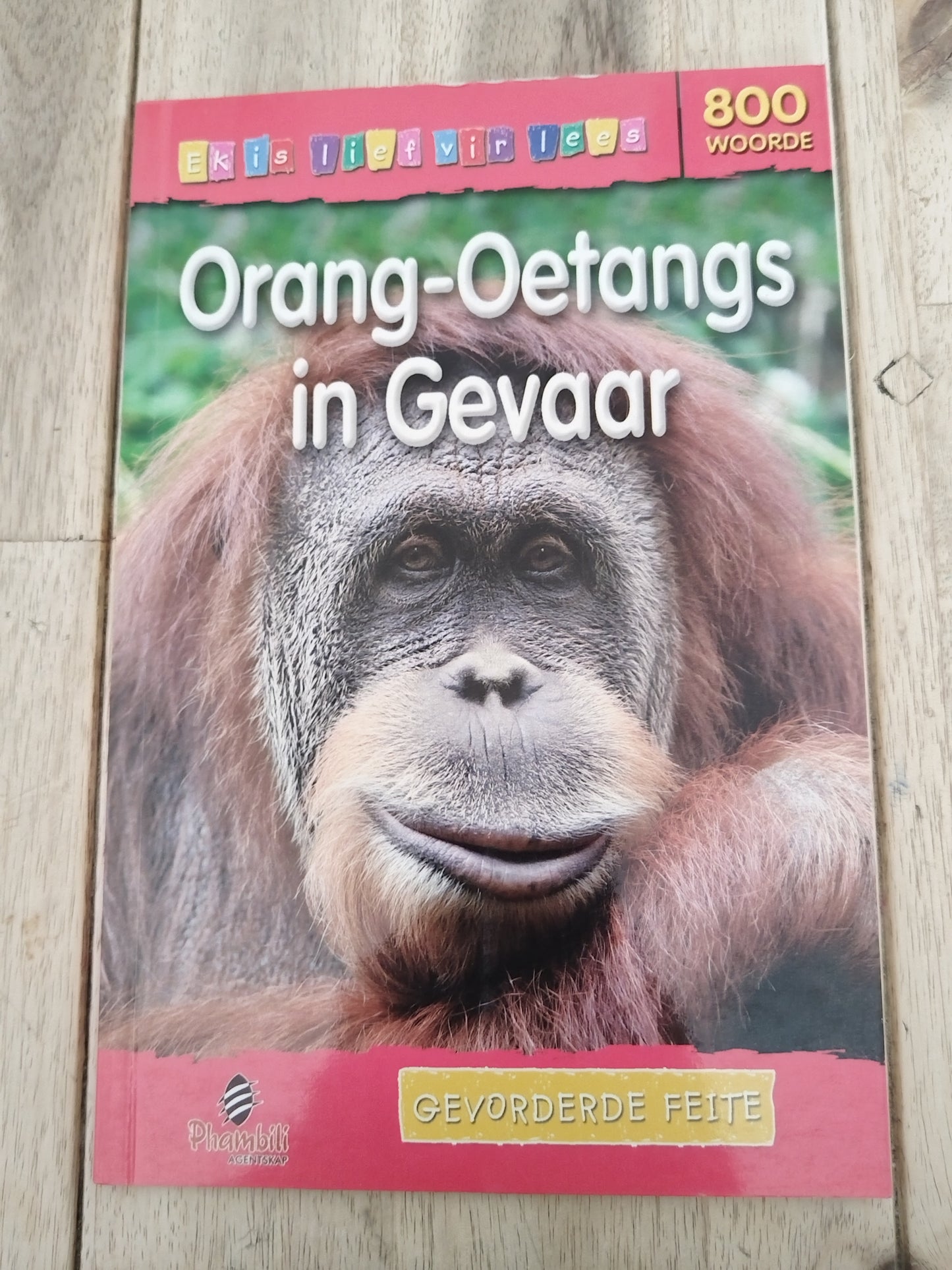 Orang-oetangs in Gevaar