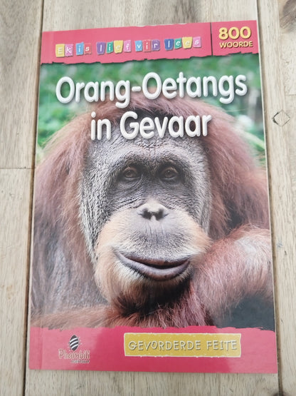 Orang-oetangs in Gevaar