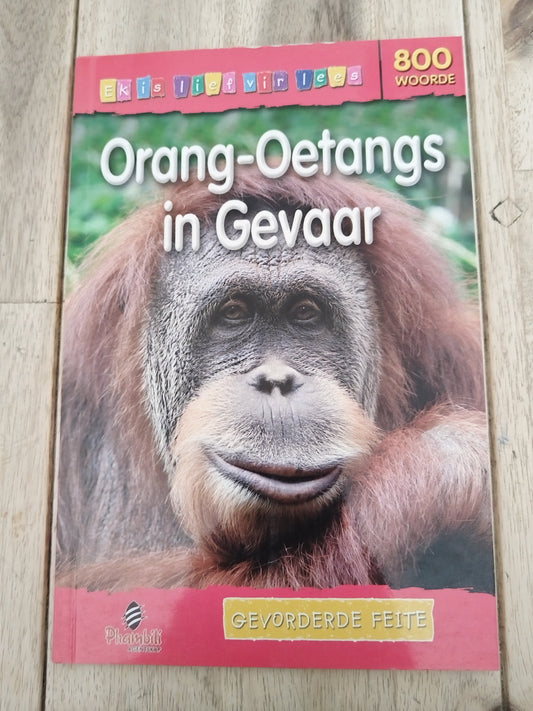 Orang-oetangs in Gevaar