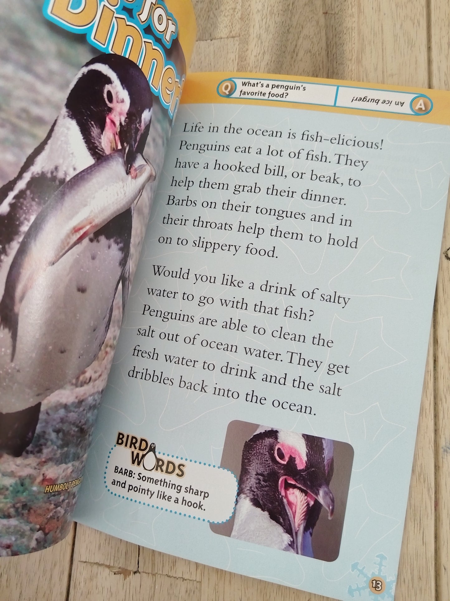 National Geographic Kids Penguins