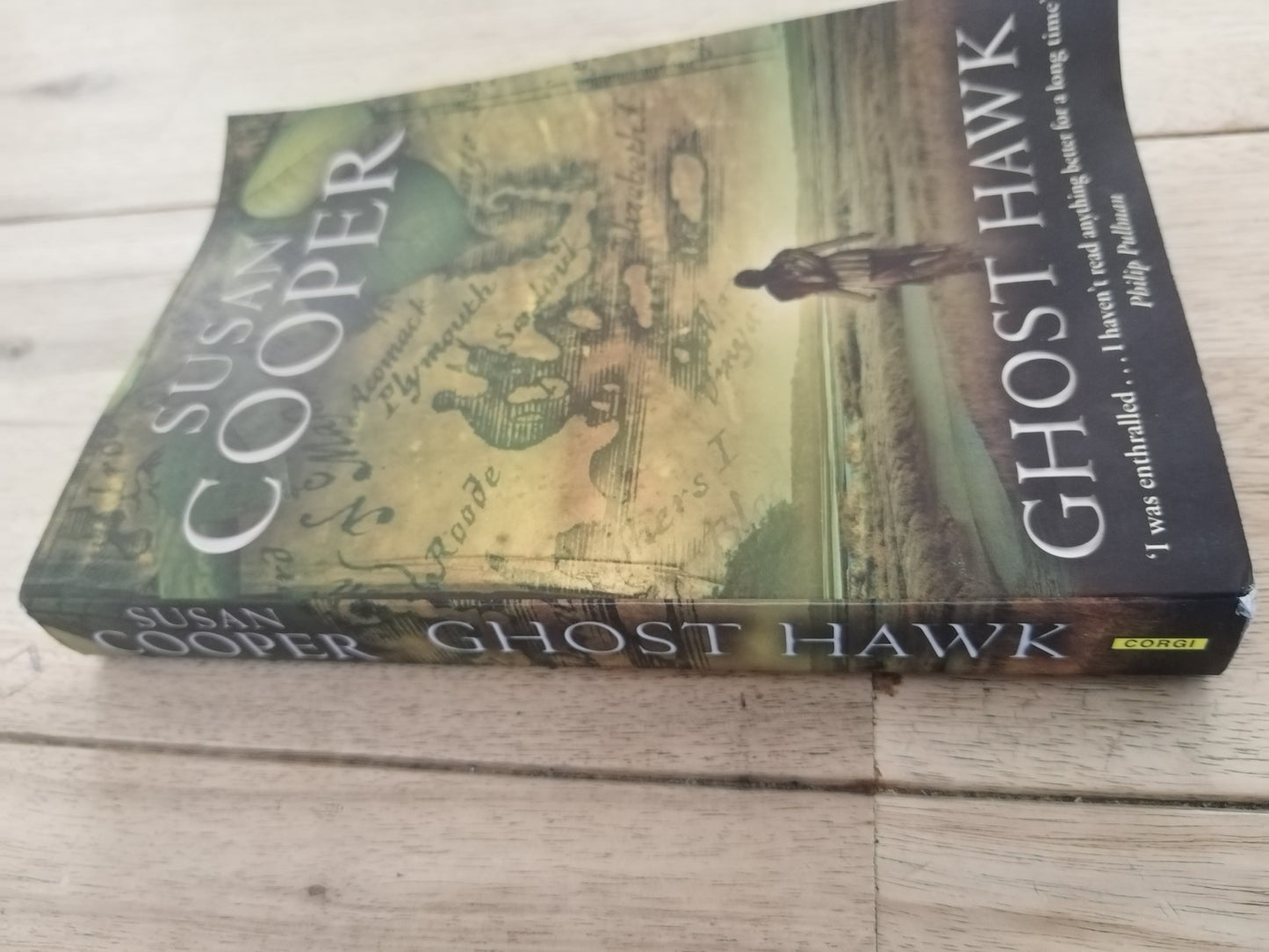 Ghost Hawk Susan Cooper