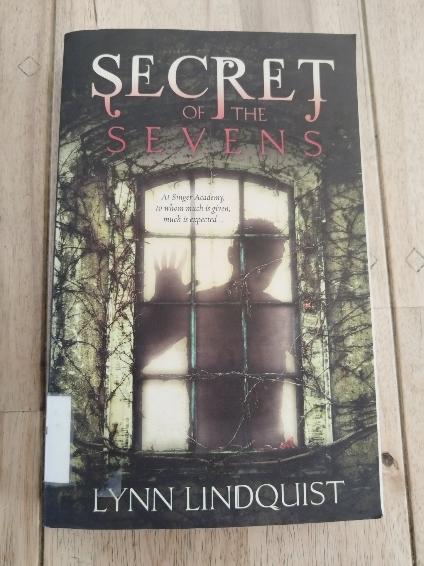 Secret Of The Sevens Lynn Lindquist