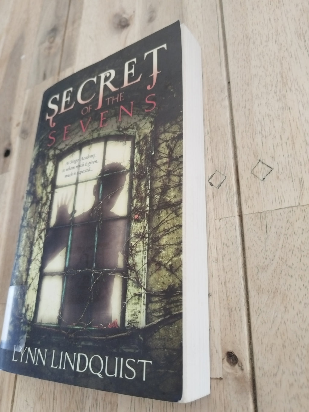 Secret Of The Sevens Lynn Lindquist