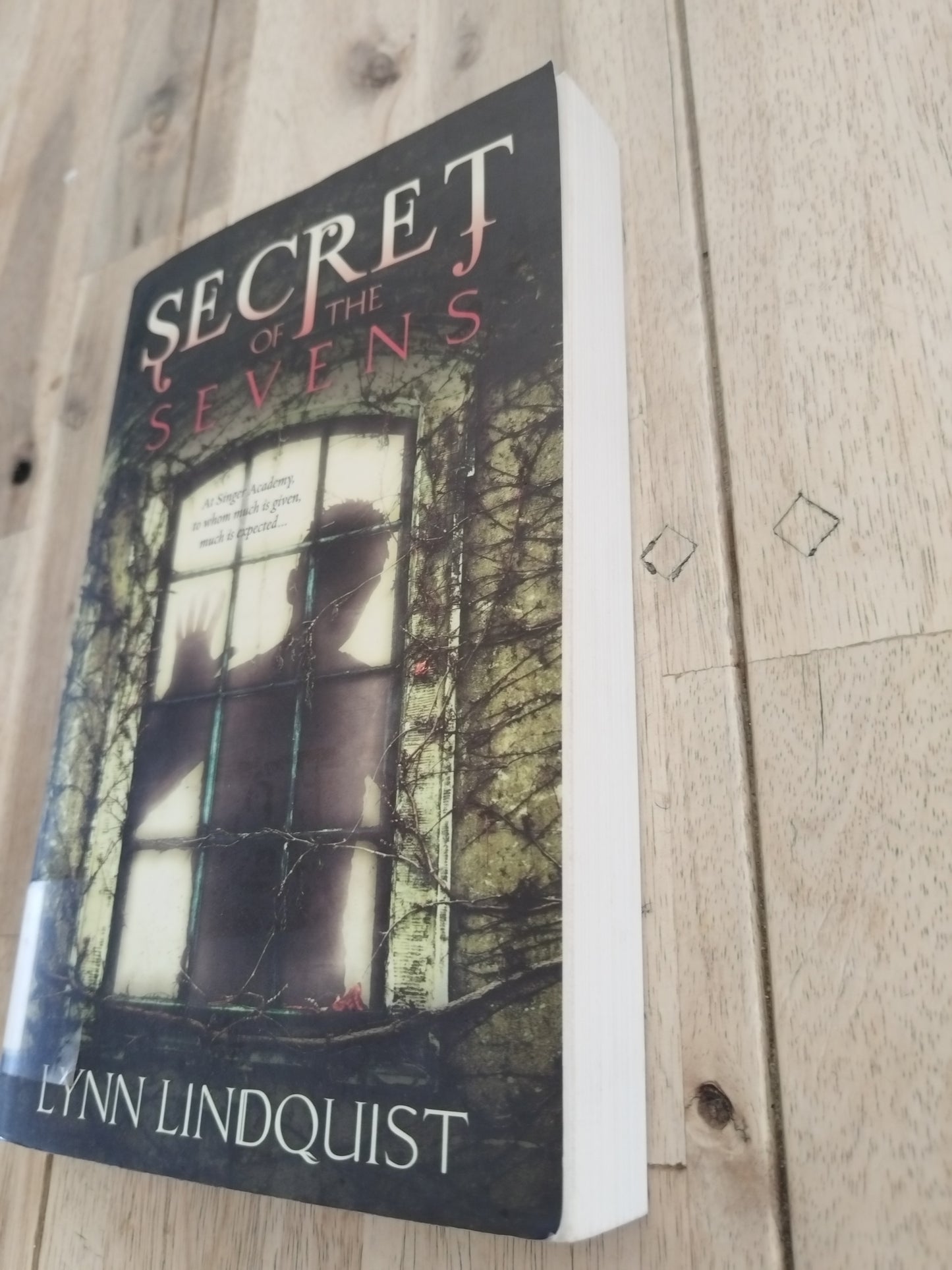 Secret Of The Sevens Lynn Lindquist