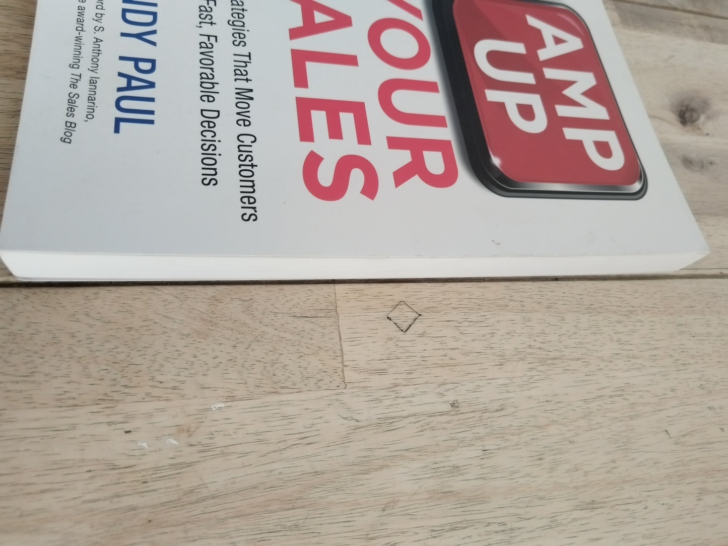 Amp Up Your Sales Andy Paul