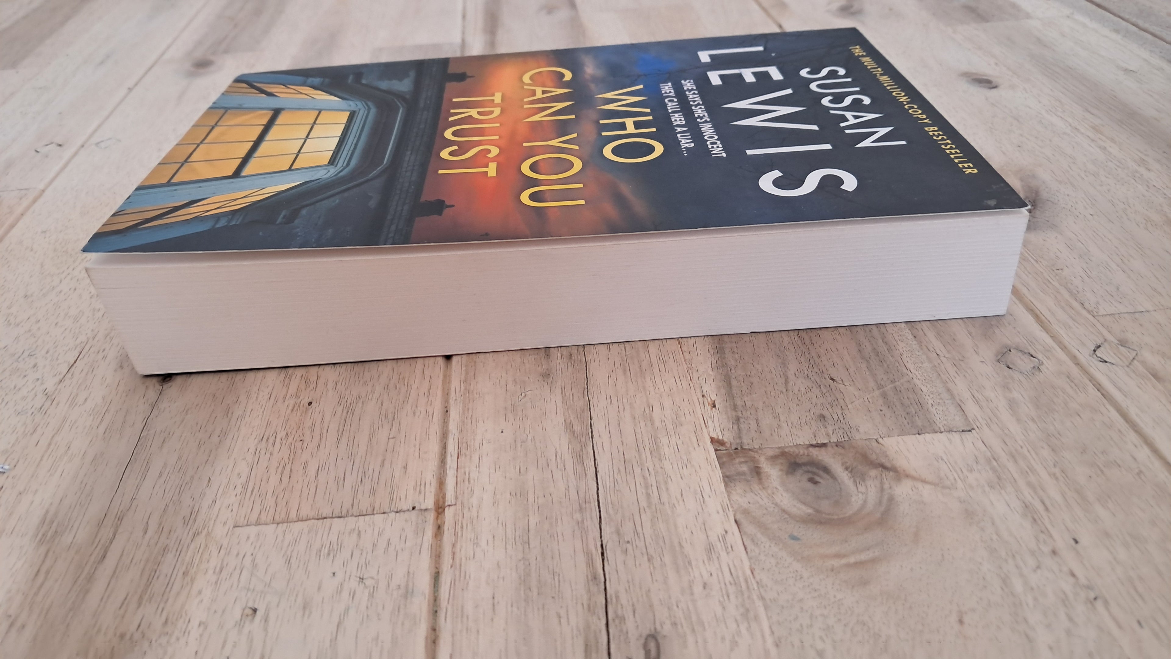 Who Can You Trust? – Susan Lewis