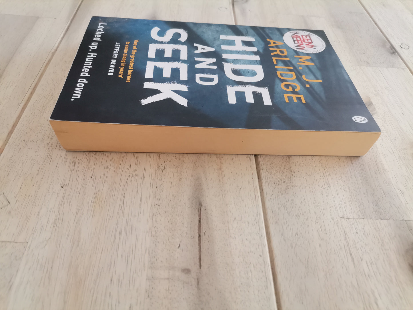 Hide and Seek – M.J. Arlidge