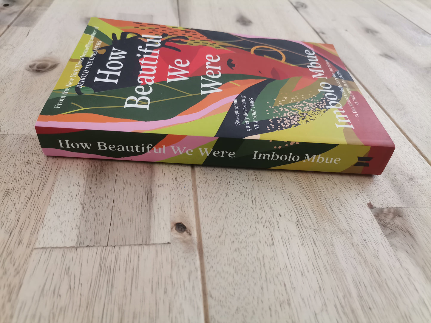 How Beautiful We Were – Imbolo Mbue