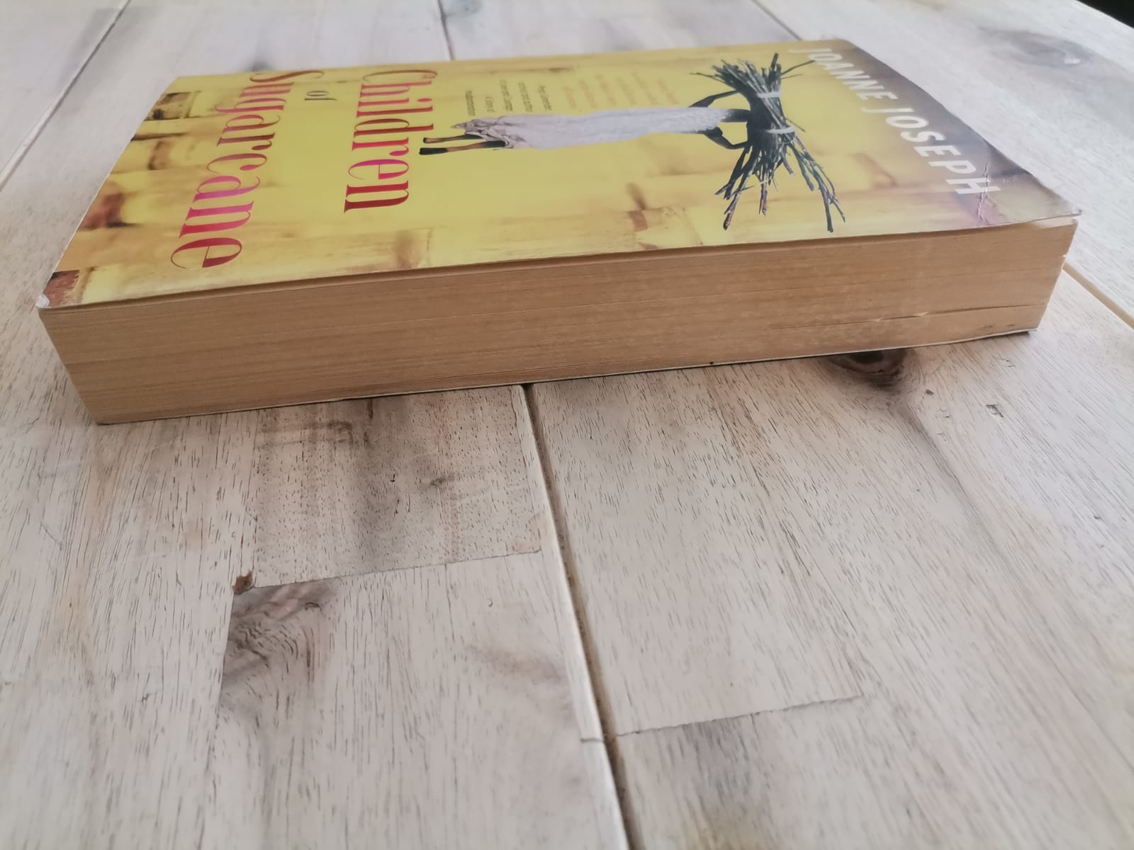 Children of Sugarcane – Joanne Joseph