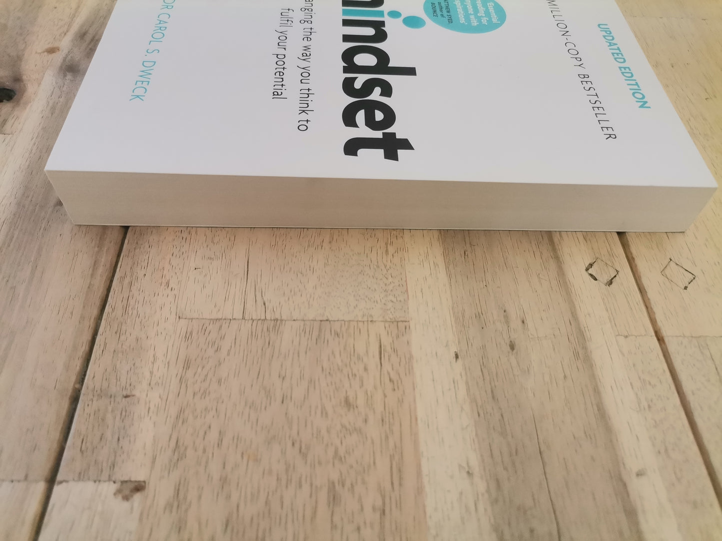 Mindset: The New Psychology of Success by Carol S. Dweck