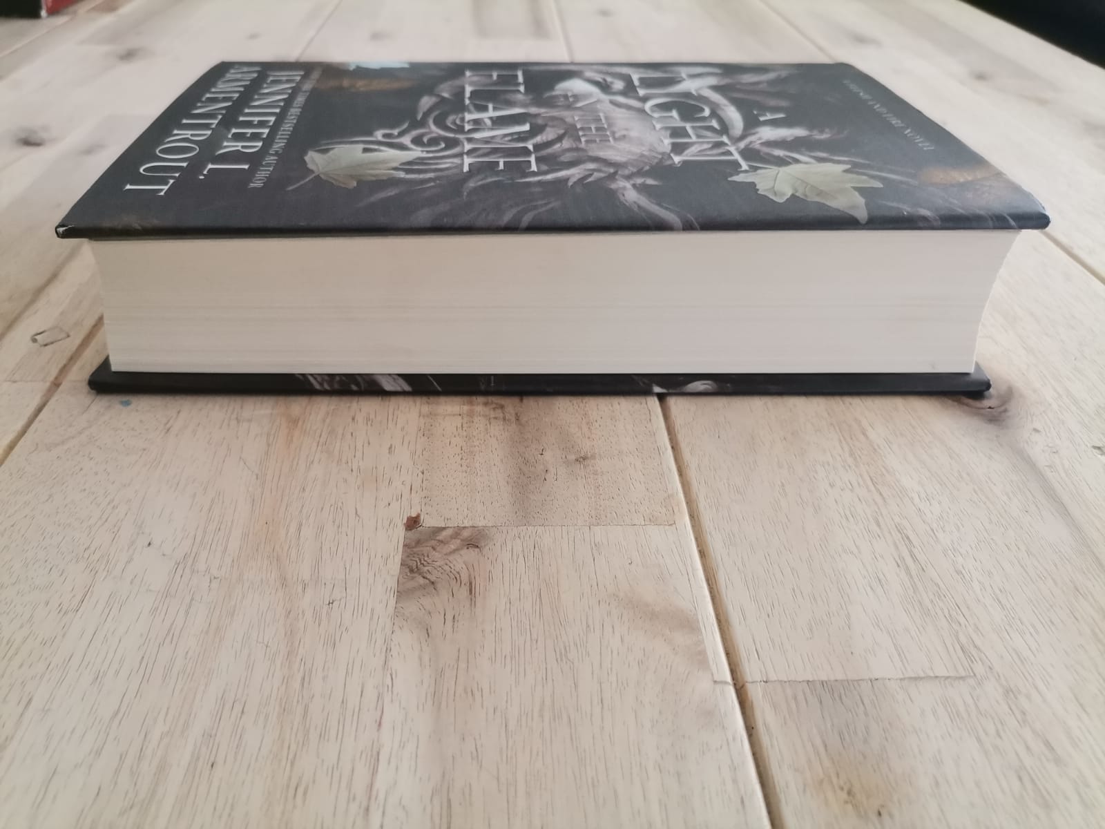 A Light in the Flame – Jennifer L. Armentrout