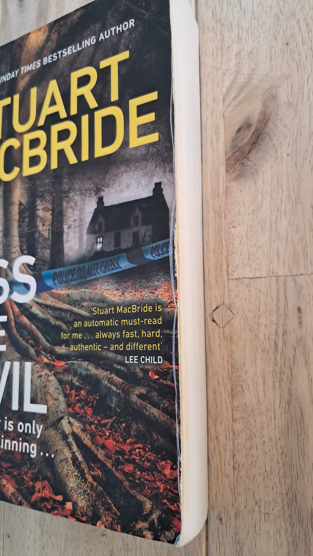 No Less the Devil – Stuart MacBride