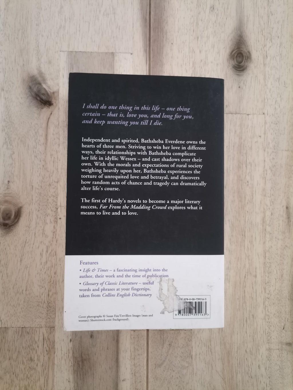 Far from the Madding Crowd – Thomas Hardy