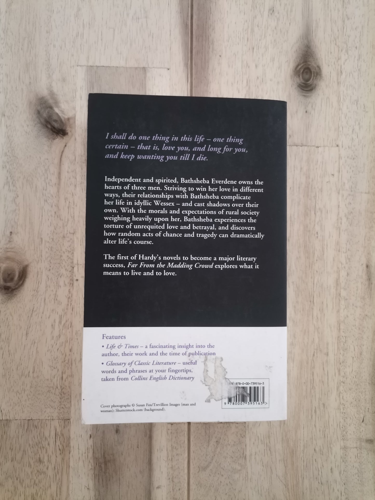 Far from the Madding Crowd – Thomas Hardy