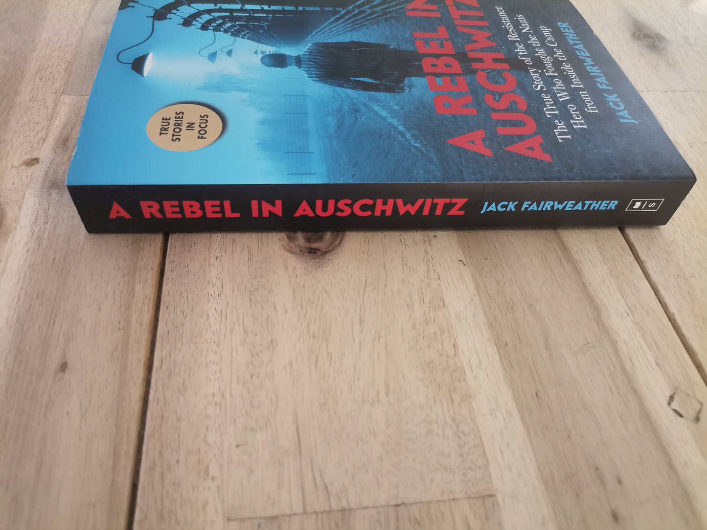 A Rebel in Auschwitz by Jack Fairweather