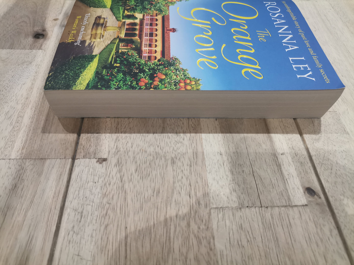 The Orange Grove by Rosanna Ley
