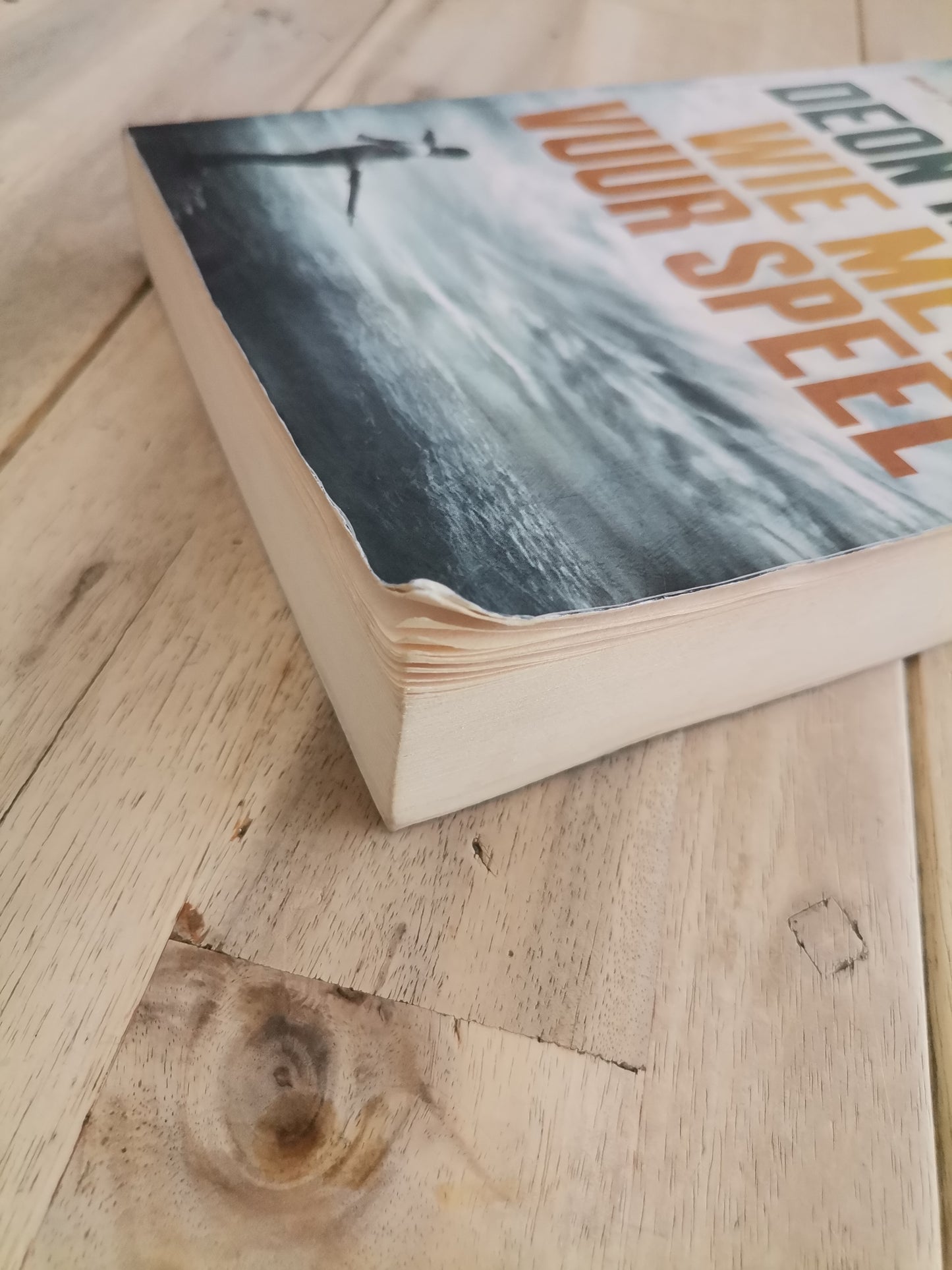 Wie met vuur speel — Deon Meyer