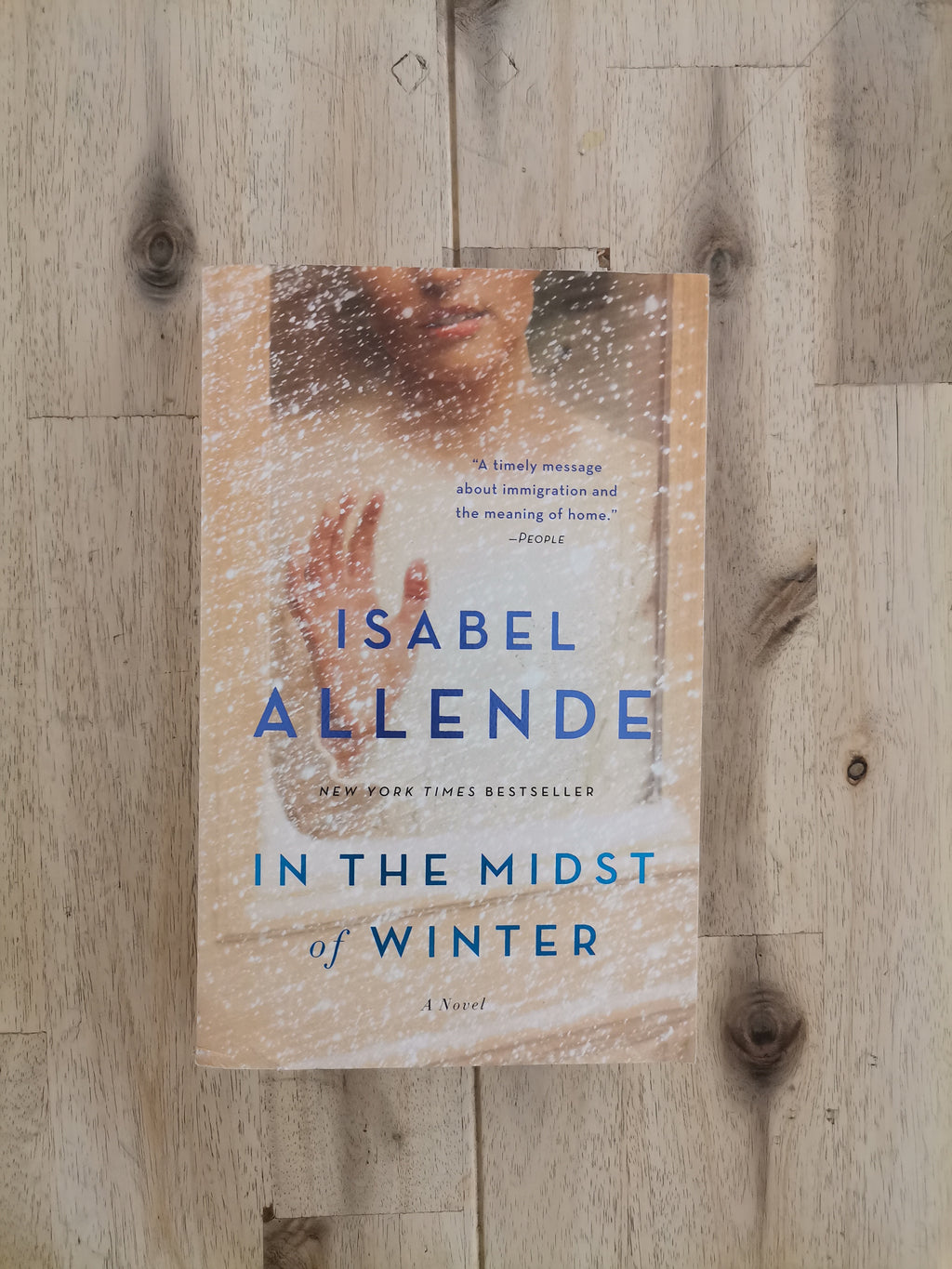 In the Midst of Winter – Isabel Allende