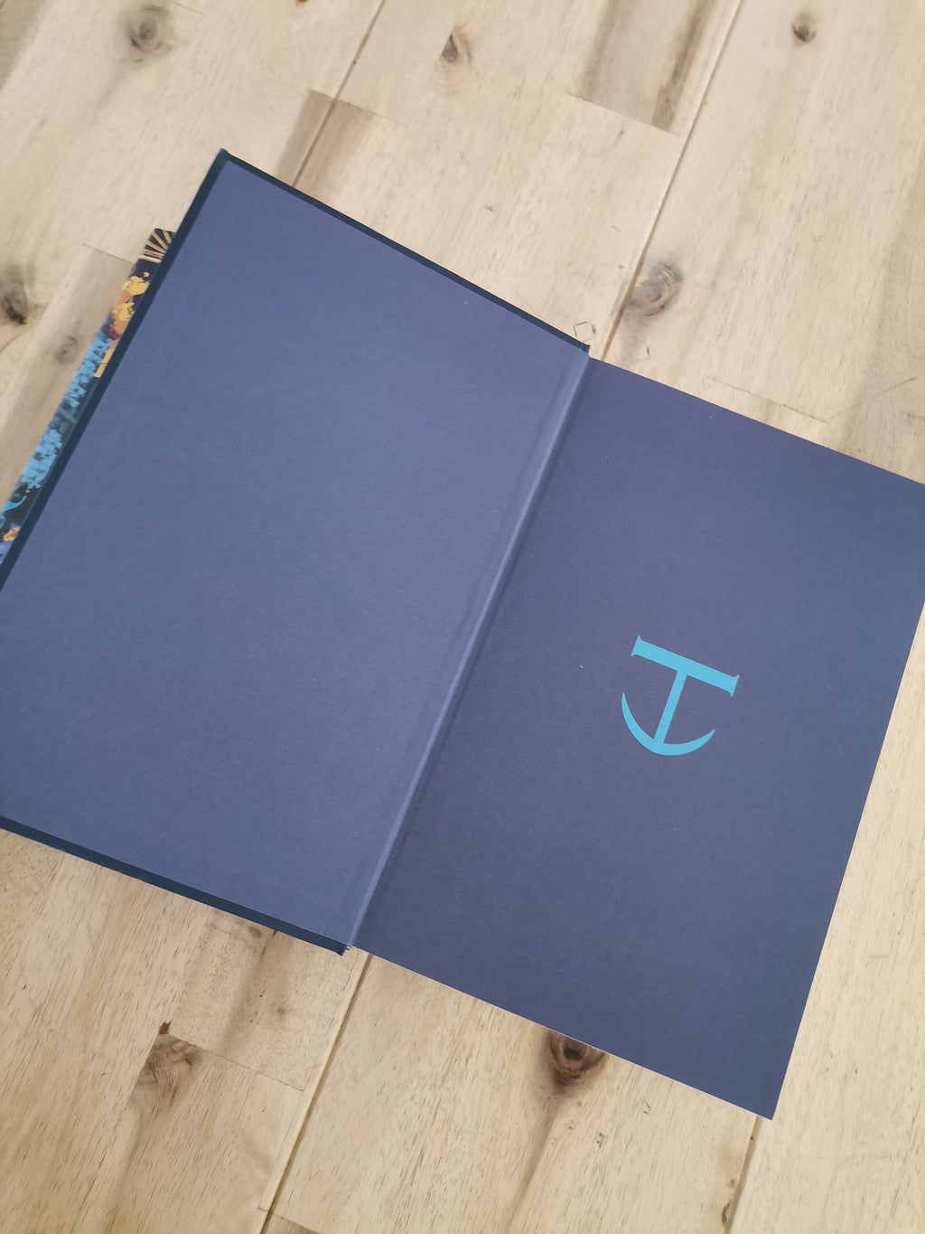 The Dark Mirror – Samantha Shannon