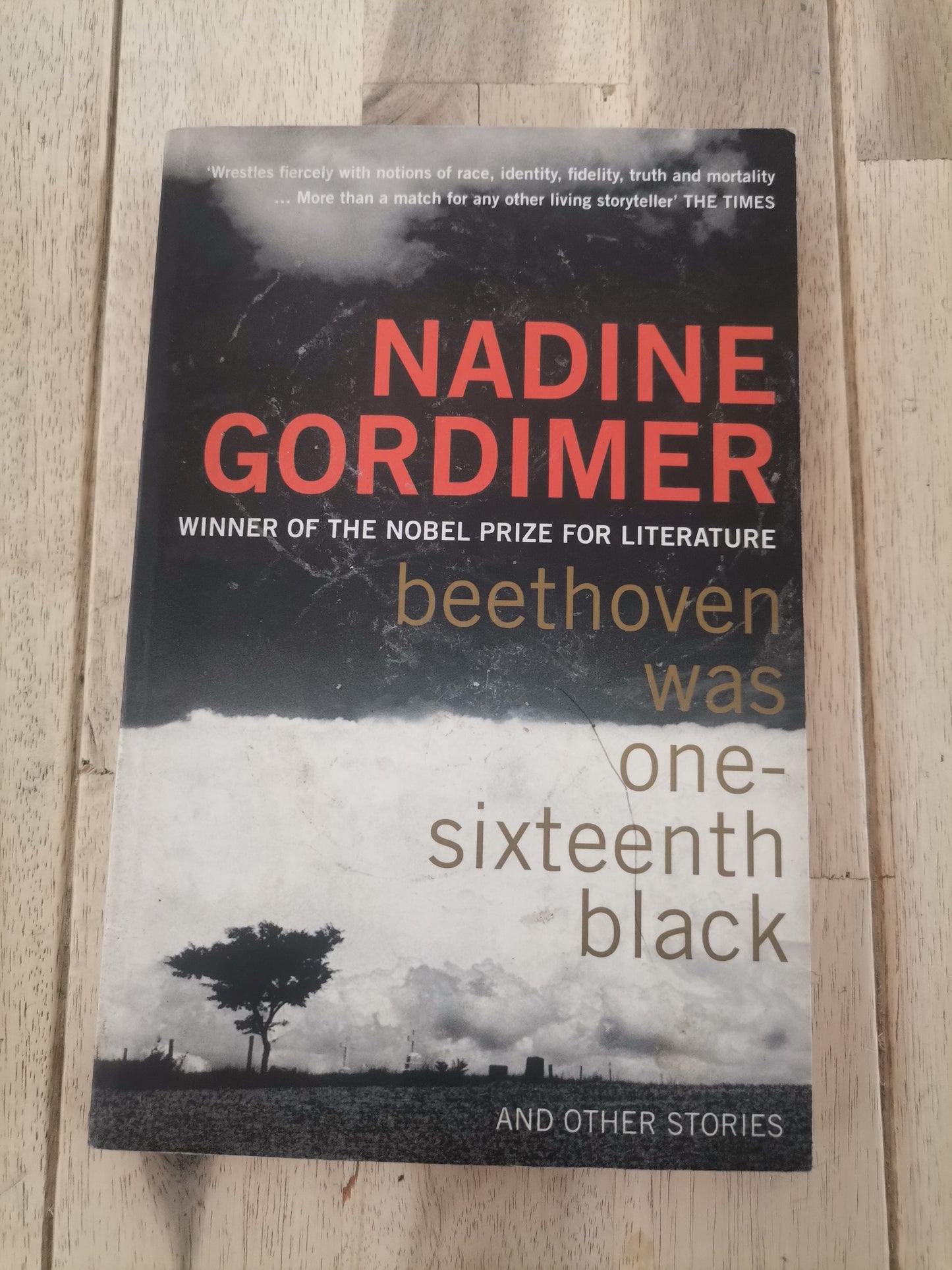 Beethoven Was One-Sixteenth Black by Nadine Gordimer