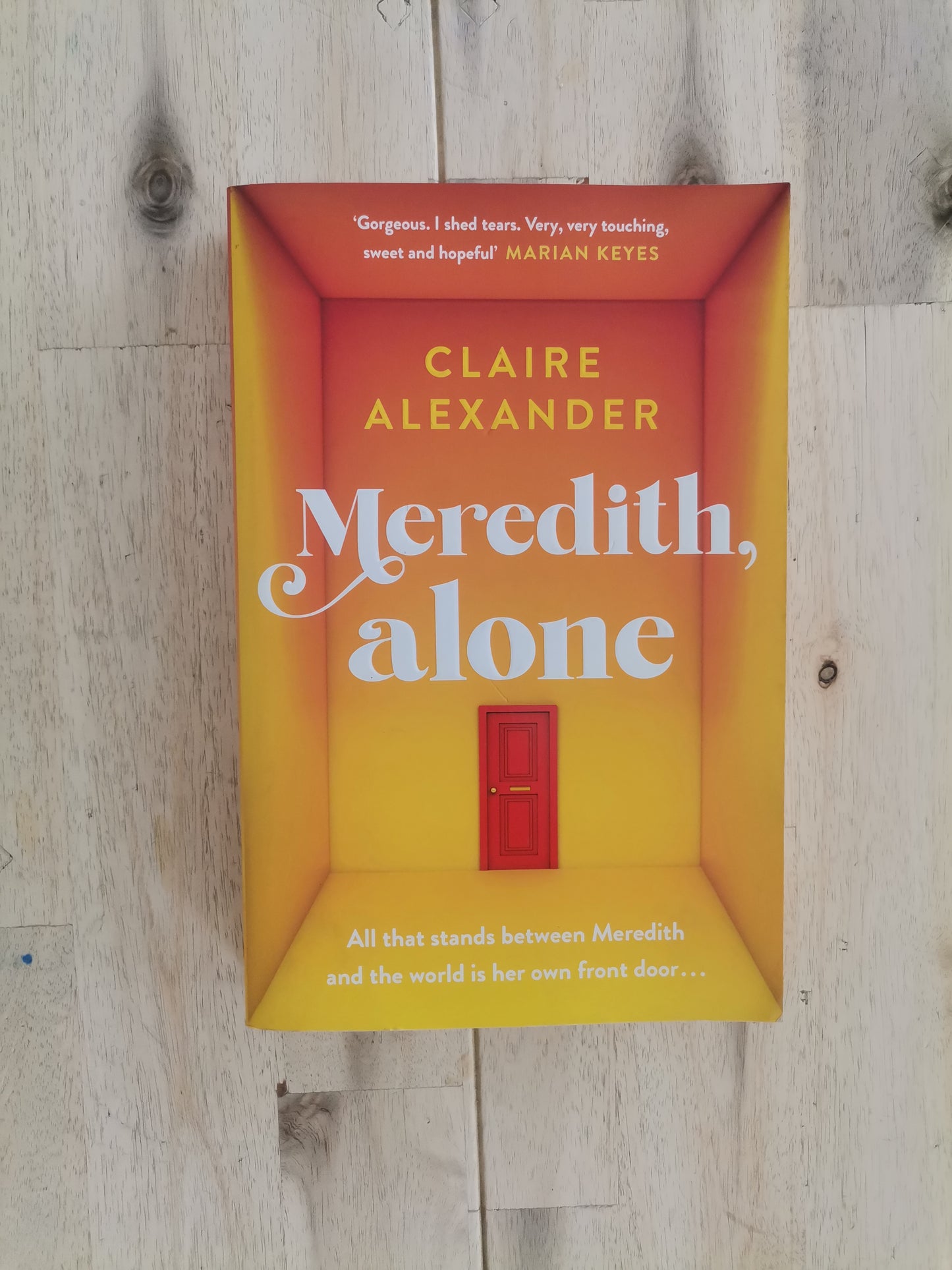 Meredith, Alone – Claire Alexander