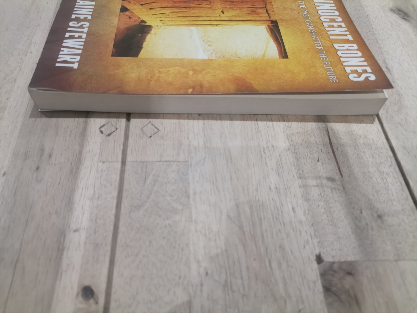 The Innocent Bones by Charmaine Stewart