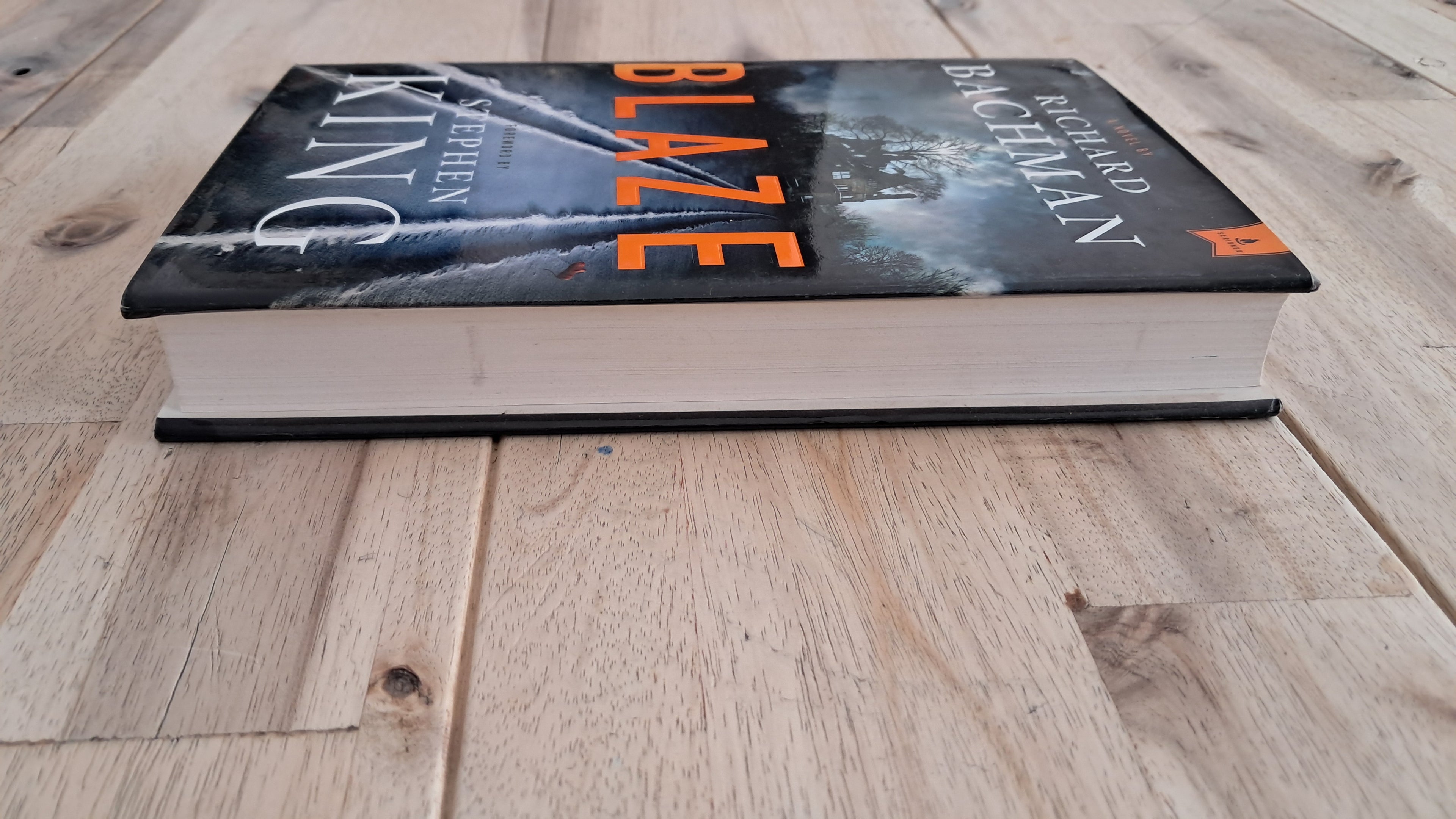 Blaze – Stephen King (as Richard Bachman)