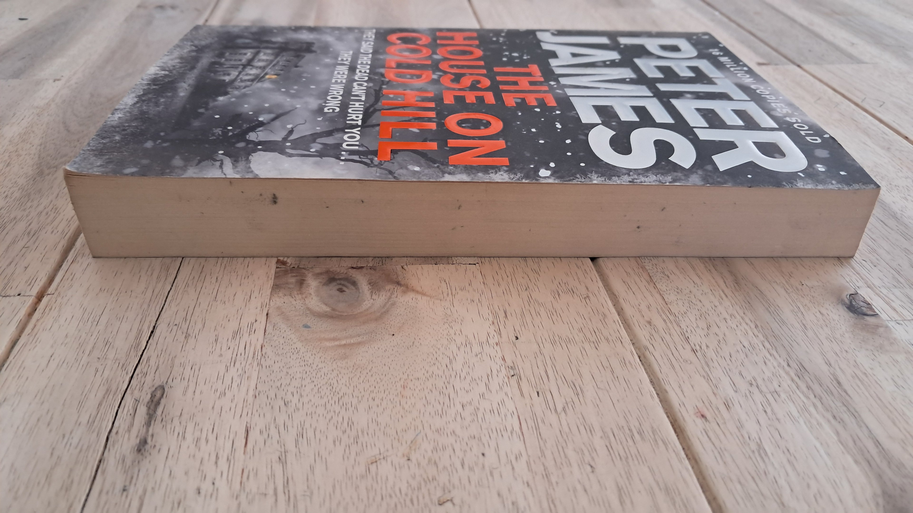 The House on Cold Hill – Peter James