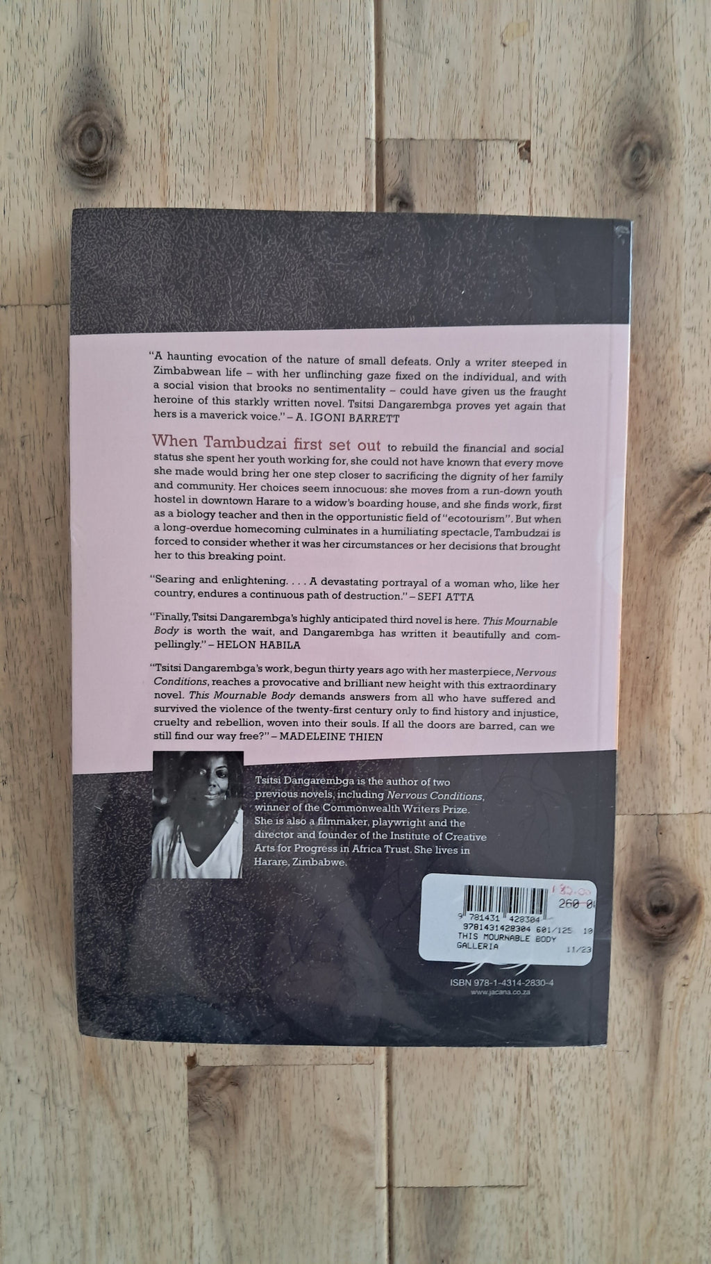 This Mournable Body – Tsitsi Dangarembga